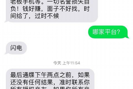 元宝如何避免债务纠纷？专业追讨公司教您应对之策